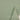 160D*160D 100%ECONYL® Regenerated Nylon, W/R #17092-6